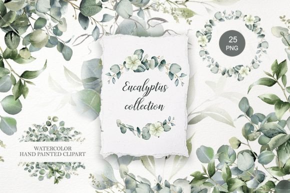 Download Eucalyptus Clipart. Watercolor Greenery - Green Collection